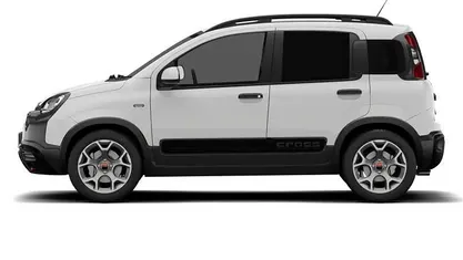 Used Fiat Panda Cross Cross 69 HP (50 kW) 2021 Hatchback