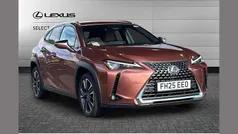 Sonic copper Used 2025 Lexus UX 300h SUV | £35,981 (Good price)