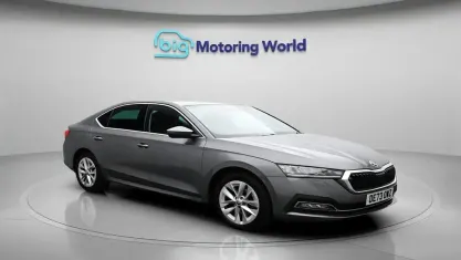 Used Skoda Octavia SE L 150 HP (110 kW) 2023 Grey Hatchback