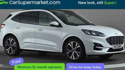Second-hand Ford Kuga ST-Line X 150 CP (110 kW) 2023 Alb SUV