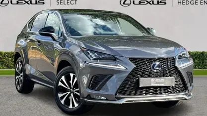 Used Lexus NX300h Sport Line 197 HP (144 kW) 2018 Grey SUV
