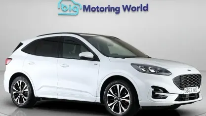 Used Ford Kuga ST-Line X 150 HP (110 kW) 2023 White SUV