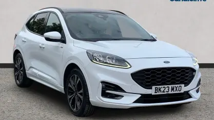 Used Ford Kuga ST-Line X 190 HP (139 kW) 2023 White SUV