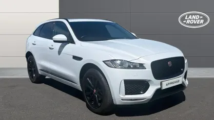 Used Jaguar F-Pace Chequered Flag 180 HP (132 kW) 2020 White SUV