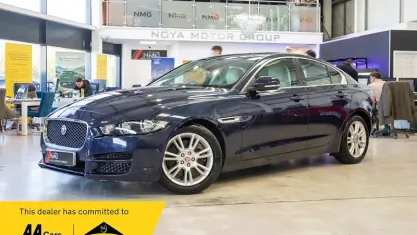 Used Jaguar XE Ingenium 200 HP (147 kW) 2019 Sedan