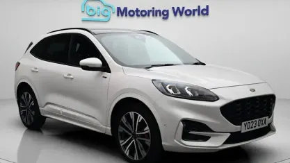Used Ford Kuga ST-Line X 225 HP (165 kW) 2023 White SUV