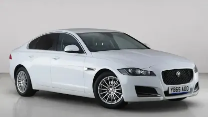Used Jaguar XF Prestige 163 HP (119 kW) 2015 White Sedan