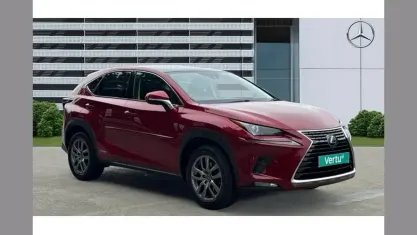 Used Lexus NX300h 197 HP (144 kW) 2019 Red SUV