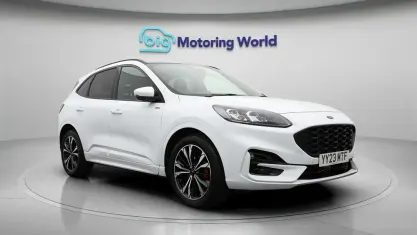 Used Ford Kuga ST-Line X 150 HP (110 kW) 2023 White SUV
