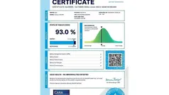 Grey Used 2020 Vauxhall Corsa-e Elite Hatchback | £9,495 (Fair price)