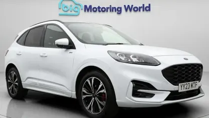 Used Ford Kuga ST-Line X 150 HP (110 kW) 2023 White SUV