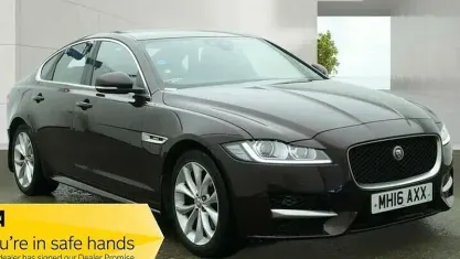 Usado Jaguar XF R-Sport 179 HP (131 kW) 2020 Sedan