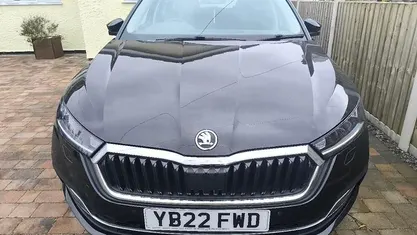 Used Skoda Octavia SE L 150 HP (110 kW) 2022 Estate