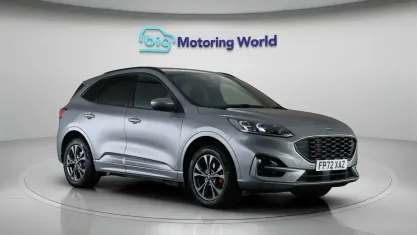 Used Ford Kuga ST-Line 224 HP (164 kW) 2022 SUV