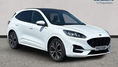 Used Ford Kuga ST-Line X 150 HP (110 kW) 2023 White SUV