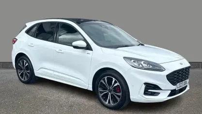 Used Ford Kuga ST-Line X 150 HP (110 kW) 2023 White SUV