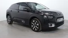 Black Used 2019 Citroën C4 Cactus Flair Hatchback | £10,800 (Fair price)