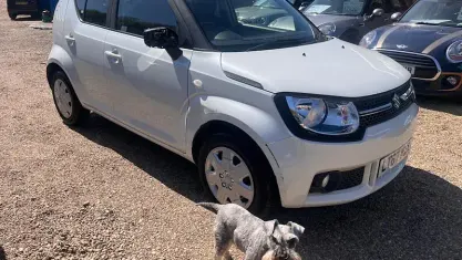 Used Suzuki Ignis SZ3 90 HP (66 kW) 2017 White SUV