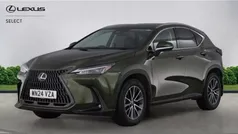 Green Used 2024 Lexus NX450h+ SUV | £43,000 (Good price)