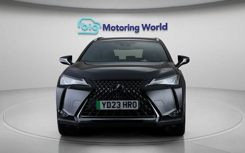Used Lexus UX 150 kW (204 HP) 2022 SUV