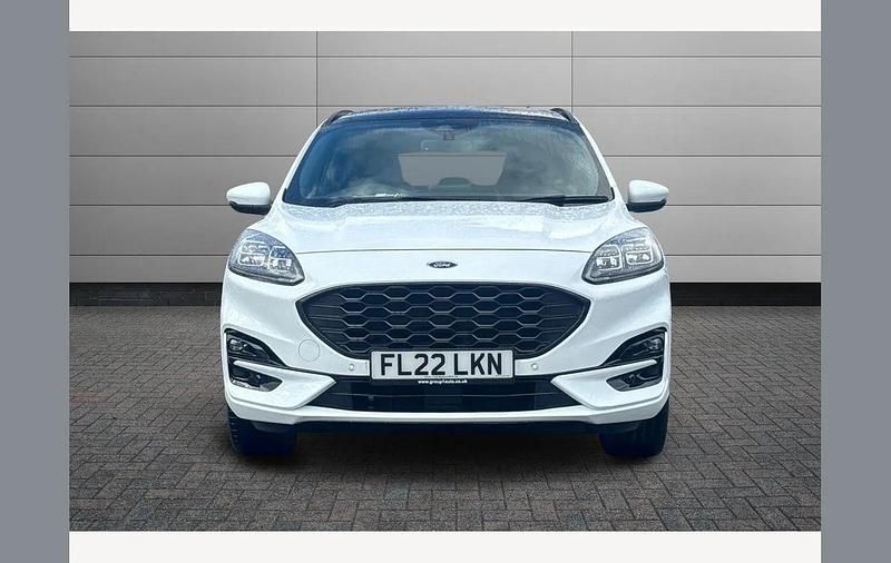 Used Ford Kuga ST-Line X 150 HP (110 kW) 2022 White SUV