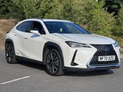 White Used 2020 Lexus UX 250h SUV | £16,457 (Super price)
