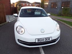 White Used 2014 VW Beetle Design Hatchback | £6,000 (Good price)