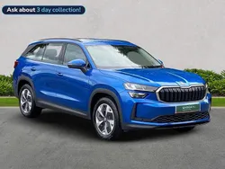 Blue Used 2024 Skoda Kodiaq SE SUV | £30,647 (A bit pricey)