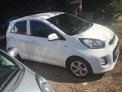 White Used 2015 Kia Picanto 2 Hatchback | £5,695 (Fair price)
