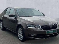 Brown Used 2019 Skoda Octavia SE L Hatchback | £13,290 (Fair price)
