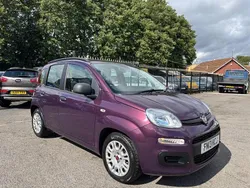 Mauve/purple Used 2013 Fiat Panda Easy Hatchback | £6,990 (Fair price)