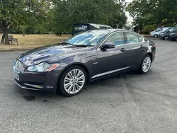 Grey Used 2010 Jaguar XF Premium Luxury Sedan | £3,650 (Super price)