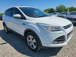 White Used 2016 Ford Kuga Zetec SUV | £4,990 (Good price)