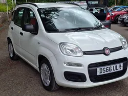 White Used 2016 Fiat Panda Easy Hatchback | £5,495 (Fair price)
