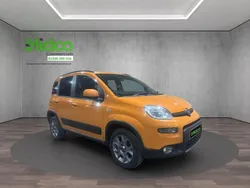 Orange Used 2016 Fiat Panda Trekking Hatchback | £5,990 (Expensive)