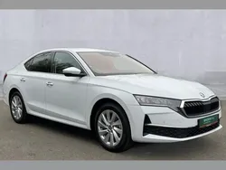 White Used 2025 Skoda Octavia SE L Hatchback | £27,990