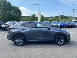 Grey Used 2023 Lexus NX450h+ SUV | £41,485 (Super price)