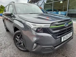 Grey New 2025 Subaru Forester SUV | £37,995 (Good price)