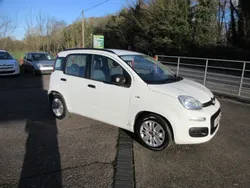White Used 2017 Fiat Panda Easy Hatchback | £4,495 (Fair price)