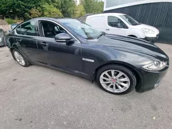 Grey Used 2014 Jaguar XF Premium Luxury Sedan | £3,275 (Super price)