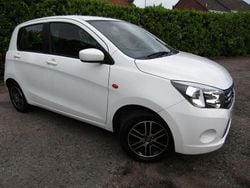 White Used 2017 Suzuki Celerio SZ4 Hatchback | £6,687 (A bit pricey)
