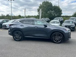 Grey Used 2023 Lexus NX450h+ SUV | £49,985 (A bit pricey)
