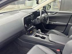 Green Used 2023 Lexus NX450h+ SUV | £36,850 (Super price)