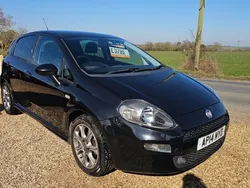 Black Used 2014 Fiat Punto Hatchback | £3,795 (Fair price)