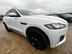 White Used 2017 Jaguar F-Pace R-Sport SUV | £16,200 (Fair price)