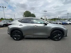 Silver Used 2023 Lexus NX350h Estate | £45,985 (Fair price)