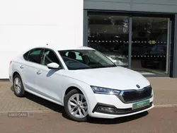 White New 2024 Skoda Octavia SE L Hatchback | £23,995