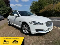 White Used 2014 Jaguar XF Luxury Sedan | £6,495 (Fair price)