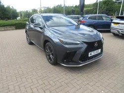 Grey Used 2023 Lexus NX350h Sport Line SUV | £40,000 (Super price)