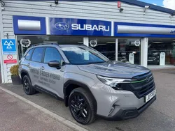 Grey New 2025 Subaru Forester SUV | £42,240 (A bit pricey)